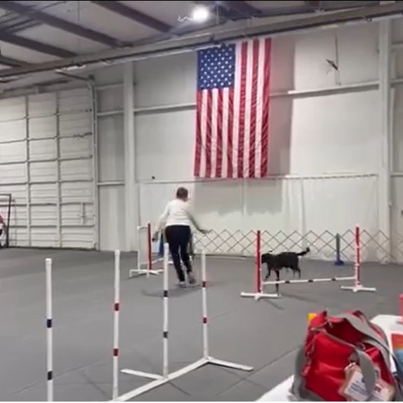 Bolt
