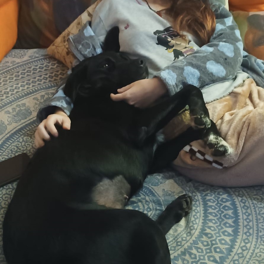 Kika