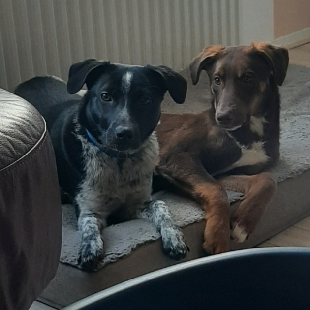 Lily & amigo