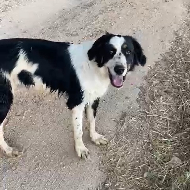 Marley