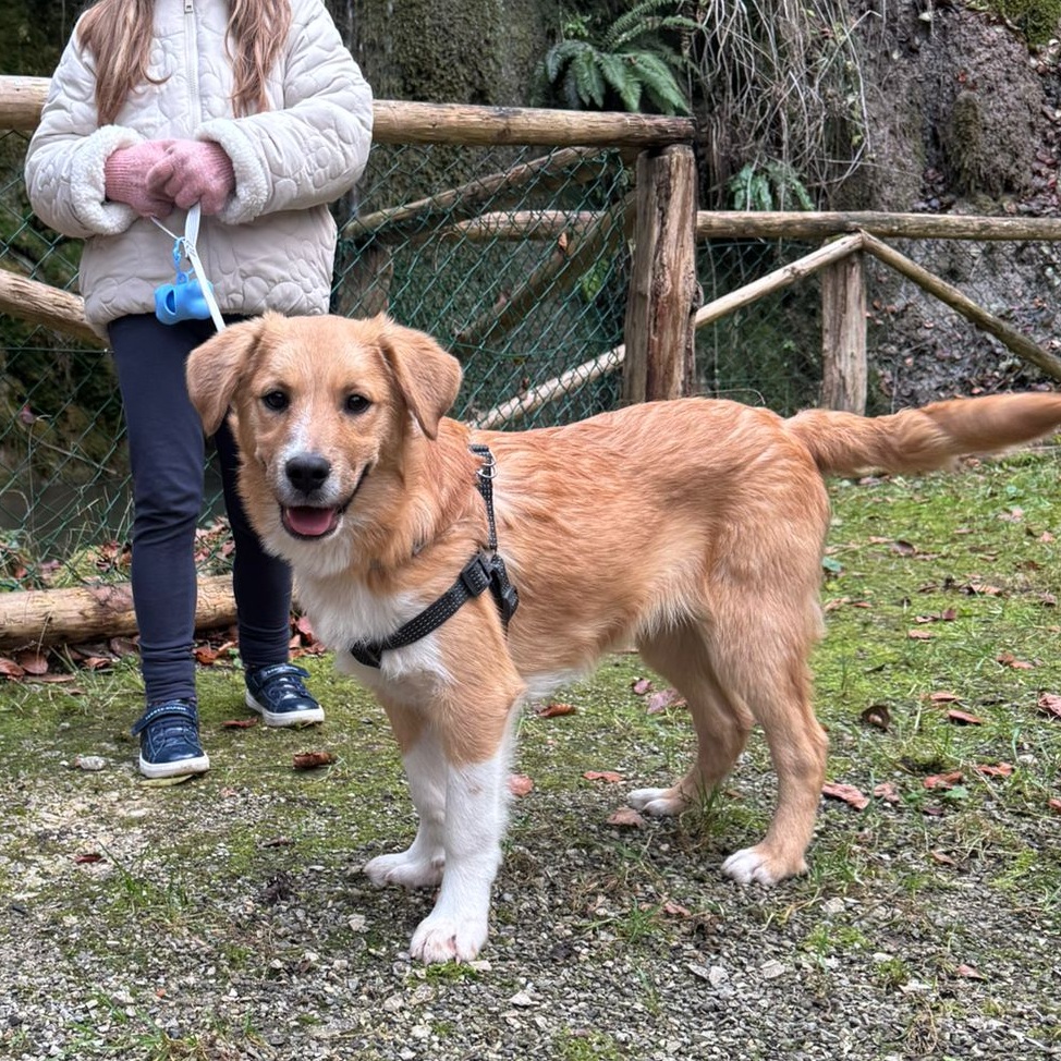 Paco